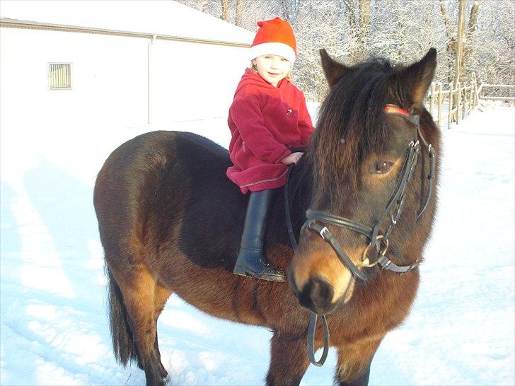 Anden særlig race Magnum.. - December 2010 billede 10