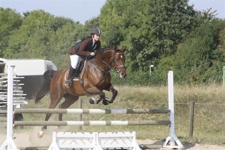 Dansk Varmblod Sawina - AFLIVET R.I.P.  - Springstævne VER 2009 - Sofie Torp Vagnholm billede 9