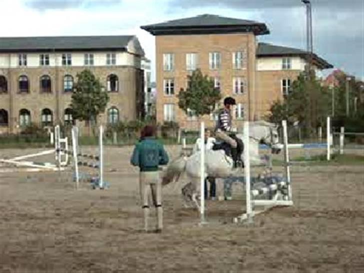 Anden særlig race SAO's Klaus - Første gang jeg sprang på Klaus (Dårlig kvalitet da det er taget fra en film) billede 7