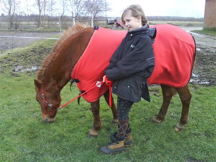 Anden særlig race Miss Mille - mille i sit nye seje tæppe :) billede 11