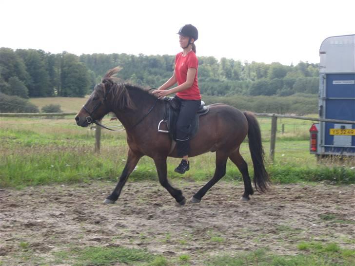 Islænder Flugfaxi fra Solkær billede 17