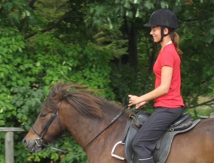 Islænder Flugfaxi fra Solkær billede 18