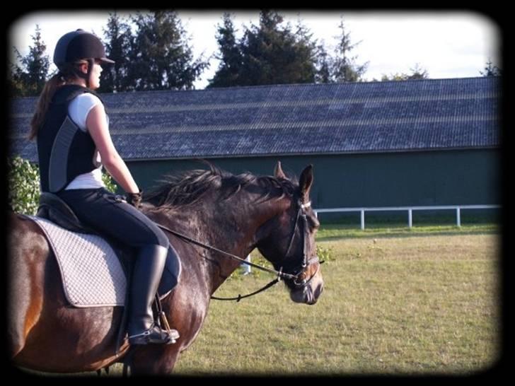 Anden særlig race  - Donna - DENGANG :'( billede 2