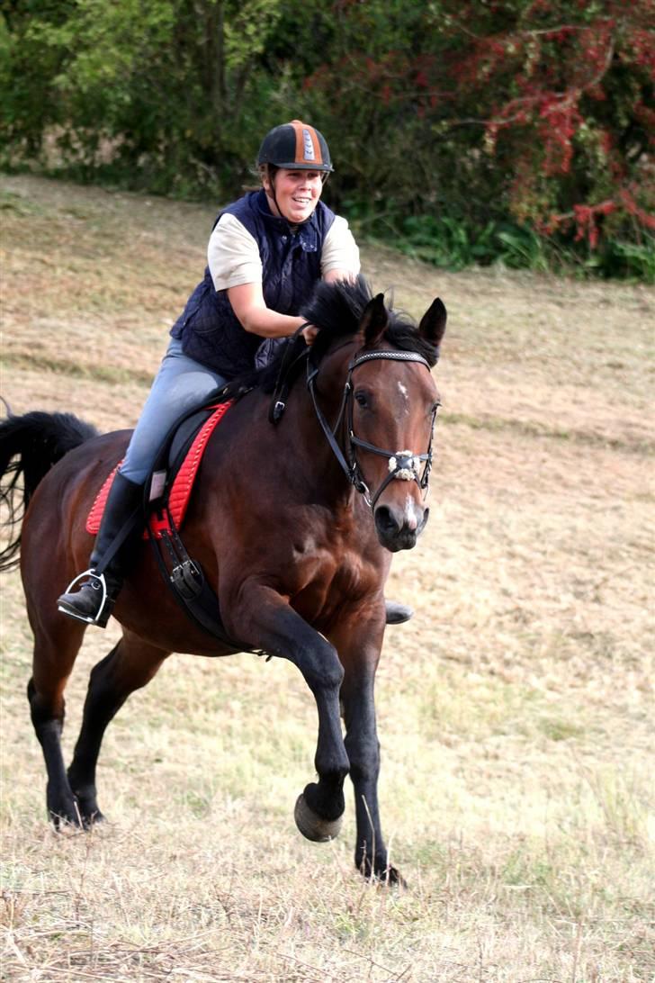 Oldenborg Lise Hessemosegård - fotograf cfc-foto billede 3