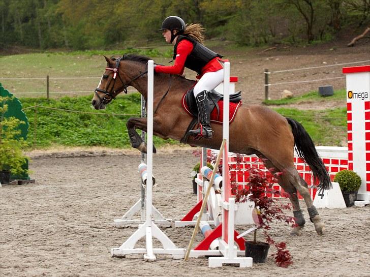 Hollandsk Sportspony Lucky - Egenes distrikt stævne d 15 maj - 2 plads <3 billede 2