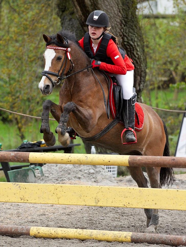 Hollandsk Sportspony Lucky - Egenes distrikt stævne d 15 maj - 2 plads <3 billede 7