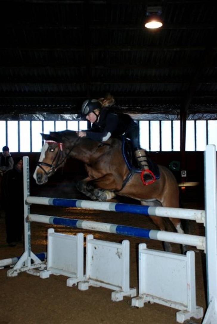 Hollandsk Sportspony Lucky - Lucky og jeg til højdespringning på egene, her springer vi 115.. (: <3 billede 8