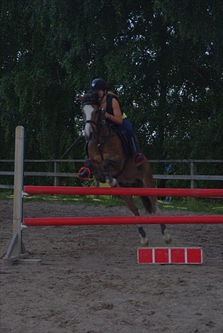 Hollandsk Sportspony Lucky - Springcamp 2010 billede 10