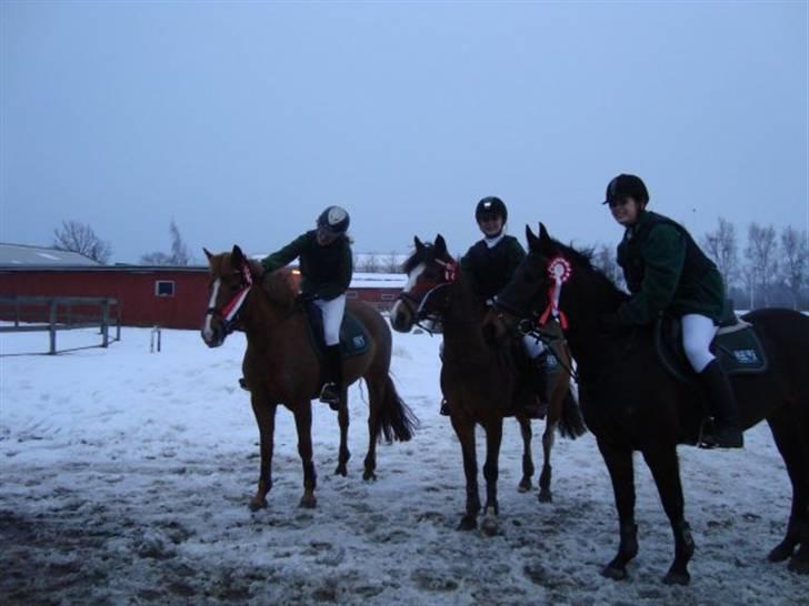 Hollandsk Sportspony Lucky - Louise på wendy, mig på lucky, og emilie på ma belle, vandt springstafets cuppen på kongelunden(: Fuck et sejt team vi var piger(:<3 billede 11