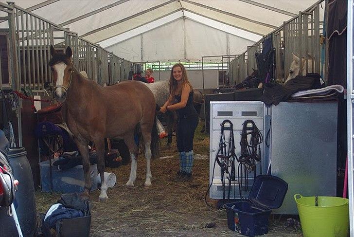 Hollandsk Sportspony Lucky - Springcamp 2010 i stalden! Gør klar til striglekonkurrence billede 12