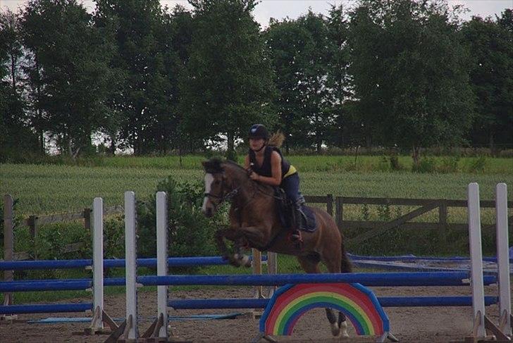 Hollandsk Sportspony Lucky - Springcamp 2010, regnbue springet ;) billede 13