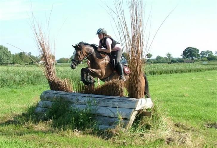 Hollandsk Sportspony Lucky - Egenes privatridelejr, træning på søborggård (: billede 16