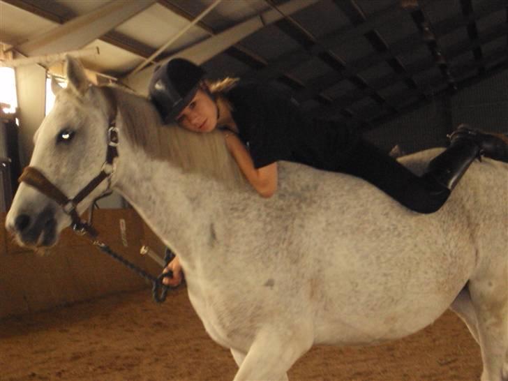 Anden særlig race Nikita himmel heste R.i.p - Elsker dig pony billede 10