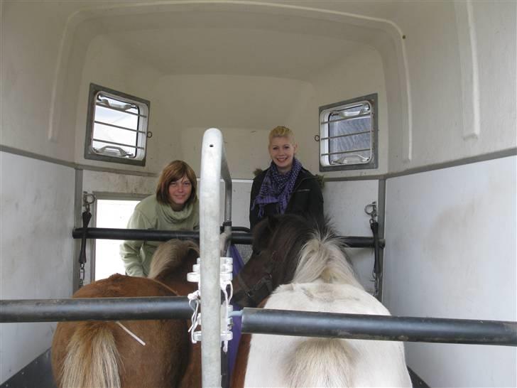 Anden særlig race Livlige Lotte SOLGT billede 2