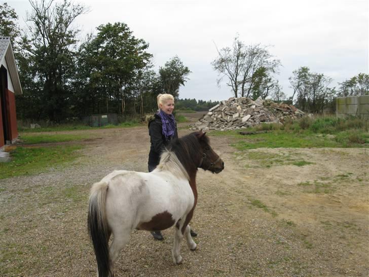 Anden særlig race Livlige Lotte SOLGT billede 3