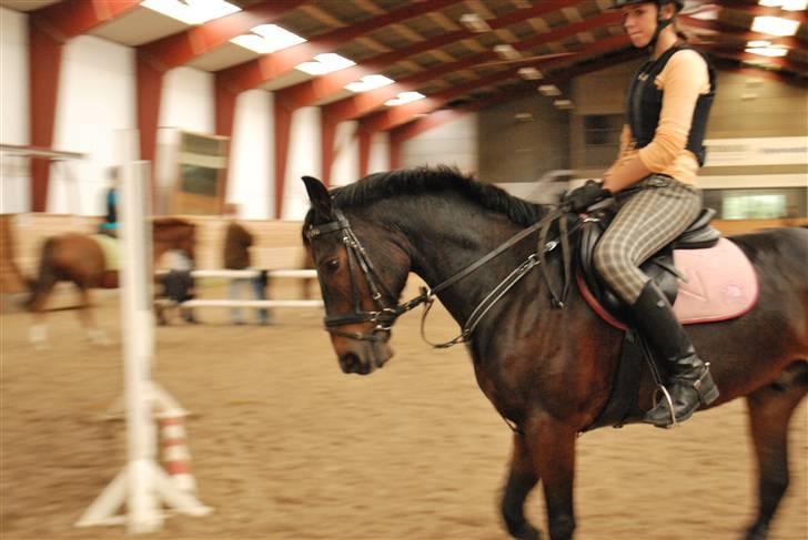 Anden særlig race Yasya - gamle part. - Lækker pony ! :D <3 billede 14