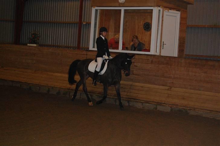 Anden særlig race Yasya - gamle part. - Eor stævne, d. 12/12-09 - VANDT :D billede 15