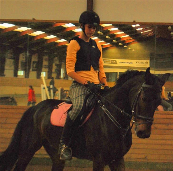 Anden særlig race Yasya - gamle part. - Lille dressur musse :´)<3 - 23 sep. billede 16