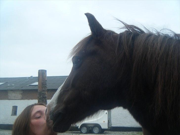 Anden særlig race Miss Molly  - Velkommen til Molly´s profil billede 1