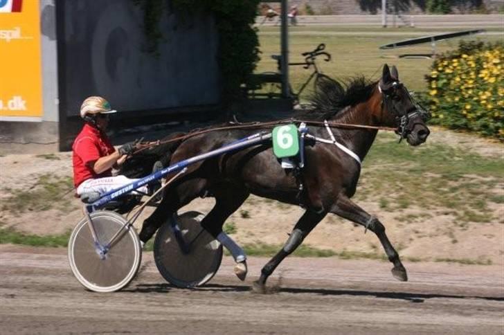 Traver Keen Hanover billede 1