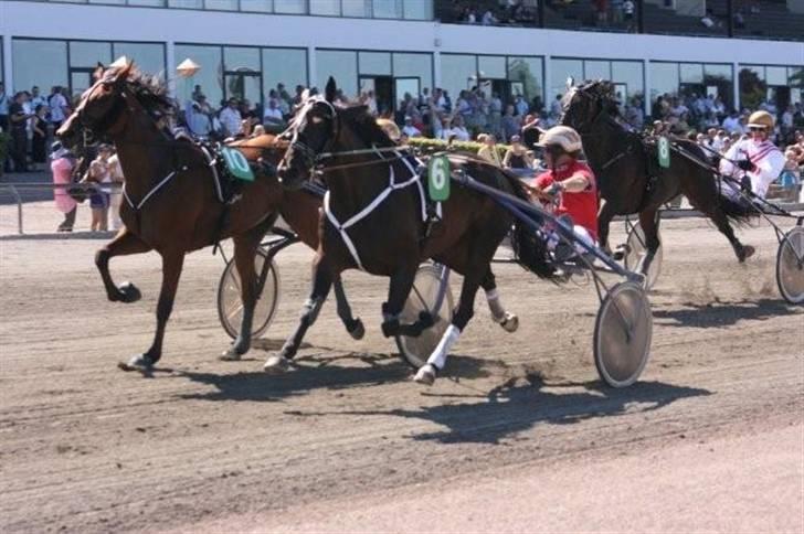 Traver Keen Hanover billede 13