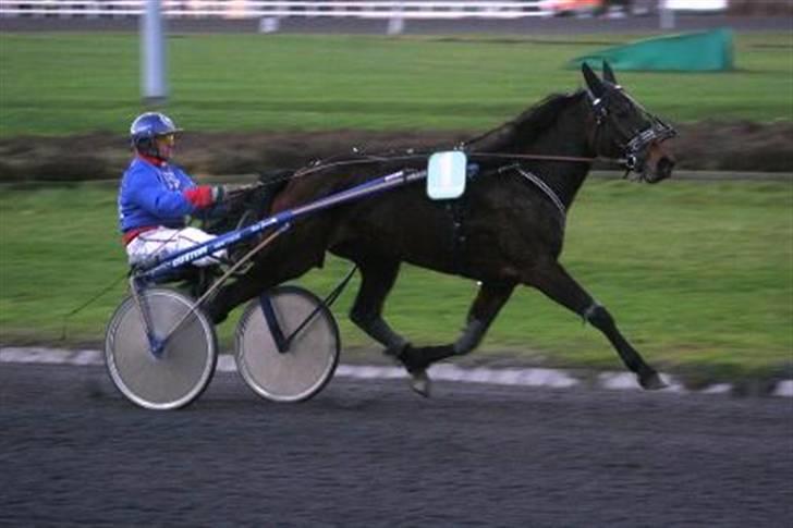 Traver Keen Hanover billede 15