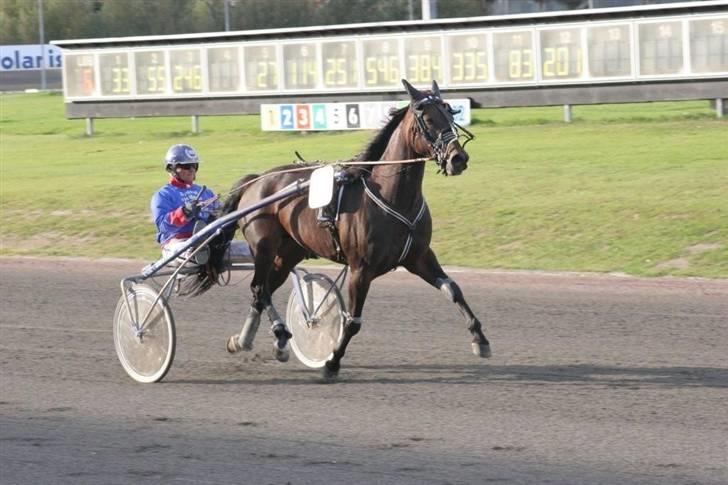 Traver Keen Hanover billede 16