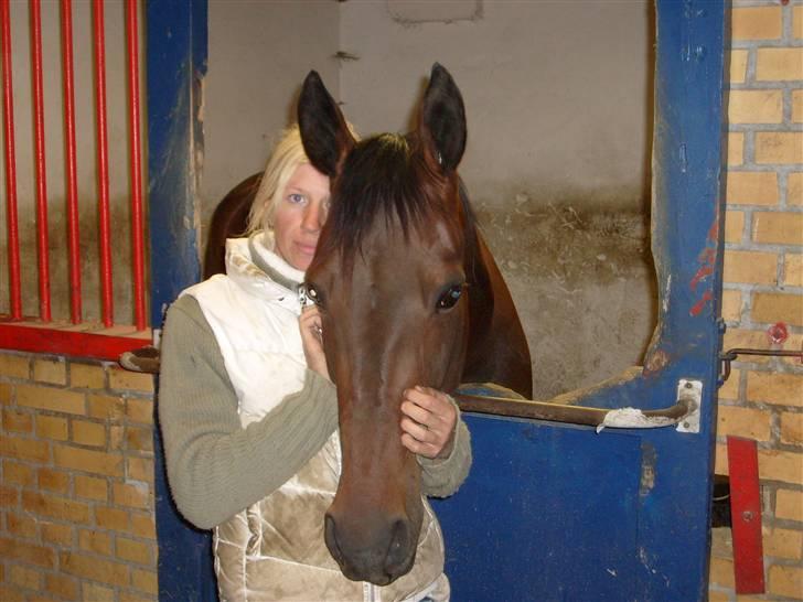 Traver Keen Hanover billede 17