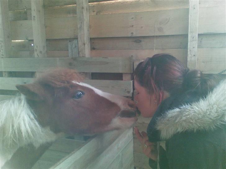 Anden særlig race Blue Eye´s - ponz elsker nysser :D  billede 1