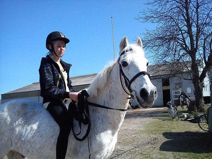 Anden særlig race Maxi billede 6