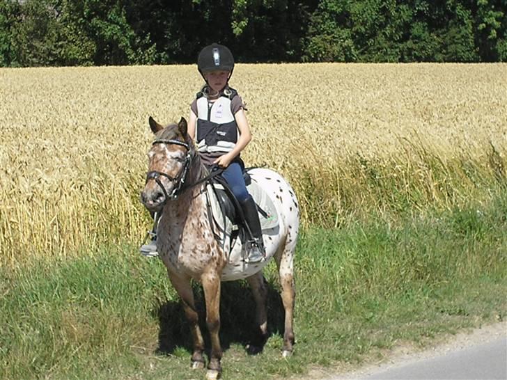 Appaloosa Pippi [Drømmeponyen] - på tur<33 Pippi elsker dig, os to for evigt og altid:* Lad os aldrig skilles ad!.. billede 6