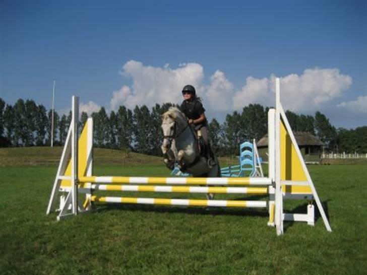 Welsh Pony (sec B) Lyngvejens Bandit R.I.P - Mig og Bossy til træning :) billede 5