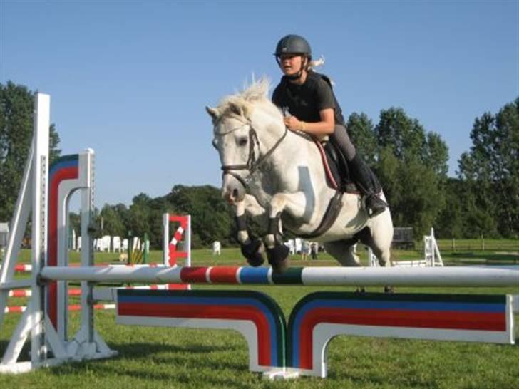 Welsh Pony (sec B) Lyngvejens Bandit R.I.P - Mig og Bossy til træning :) billede 6