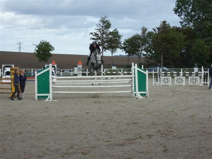 Holstener Claudius (Dunkel)  - Dunkel i en LA :D <3  billede 13