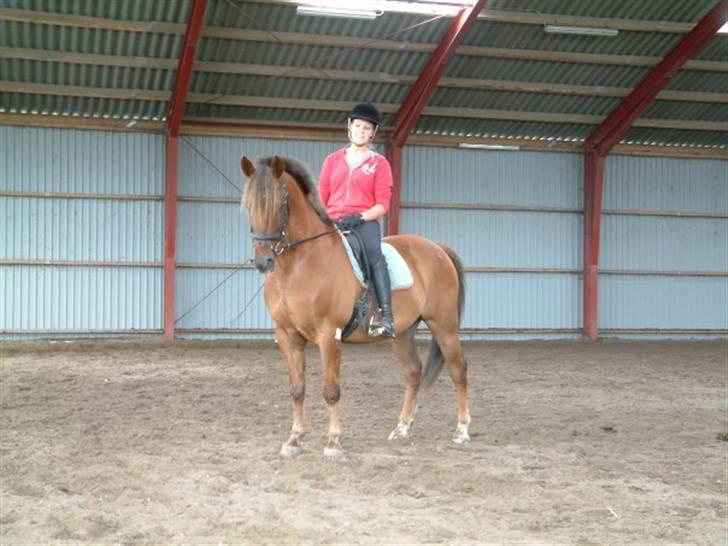 Anden særlig race Tequila - mig og Tequila rider dressur billede 1