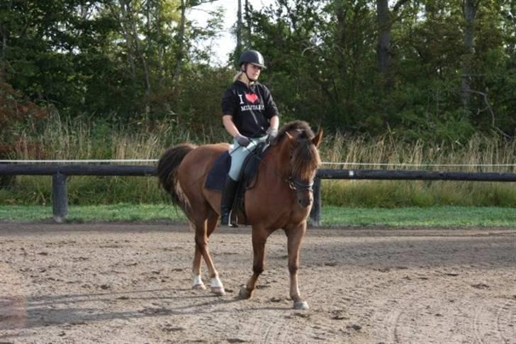 Anden særlig race Tequila - silja rider Undervisning med Eric Smiley da jeg ikke havde tid  billede 2