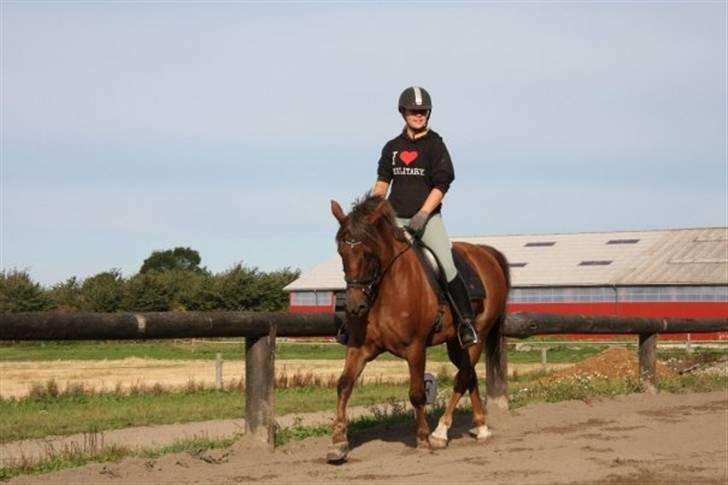 Anden særlig race Tequila - silja rider Undervisning med Eric Smiley da jeg ikke havde tid  billede 3