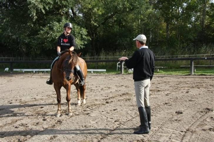 Anden særlig race Tequila - silja rider Undervisning med Eric Smiley da jeg ikke havde tid  billede 4