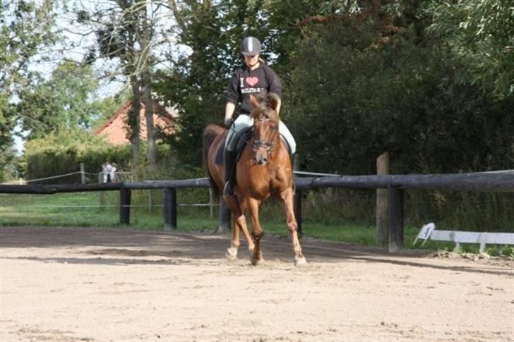 Anden særlig race Tequila - silja rider Undervisning med Eric Smiley da jeg ikke havde tid  billede 5