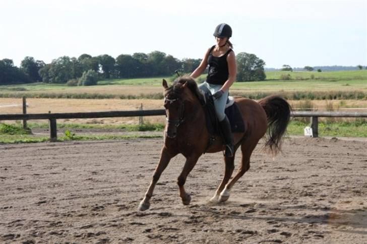 Anden særlig race Tequila - silja rider Undervisning med Eric Smiley da jeg ikke havde tid  billede 6