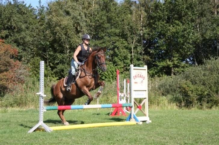 Anden særlig race Tequila - silja rider Undervisning med Eric Smiley da jeg ikke havde tid  billede 7