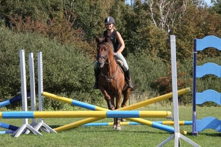 Anden særlig race Tequila - silja rider Undervisning med Eric Smiley da jeg ikke havde tid  billede 8
