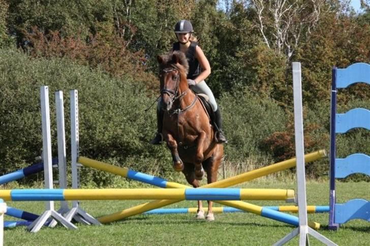 Anden særlig race Tequila - silja rider Undervisning med Eric Smiley da jeg ikke havde tid  billede 9