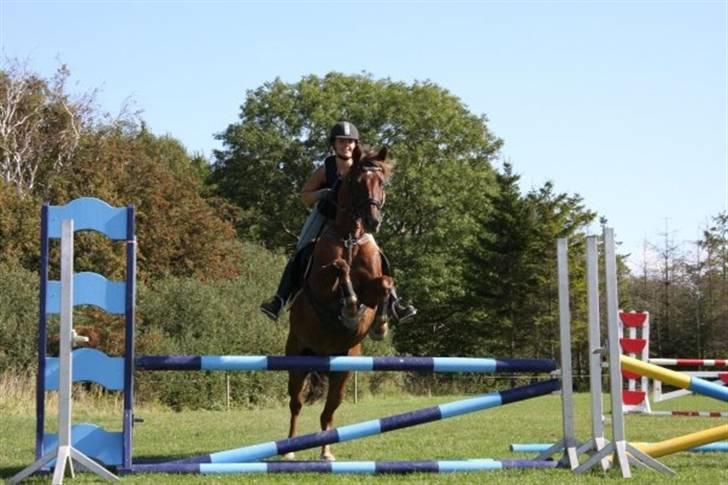 Anden særlig race Tequila - silja rider Undervisning med Eric Smiley da jeg ikke havde tid  billede 10