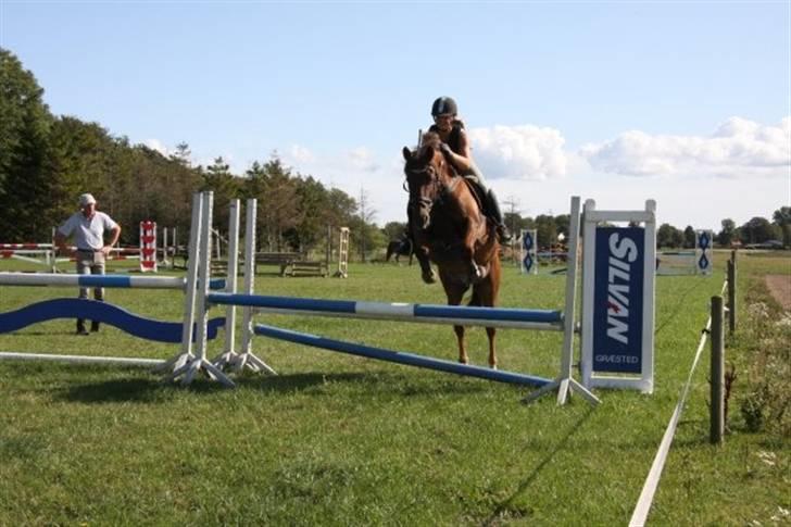 Anden særlig race Tequila - silja rider Undervisning med Eric Smiley da jeg ikke havde tid  billede 11