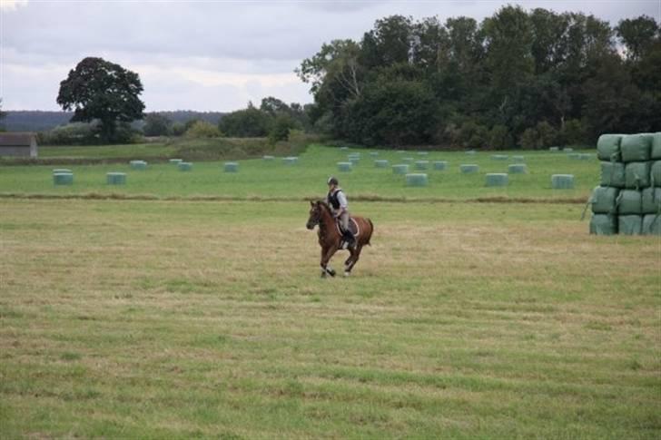 Anden særlig race Tequila - silja rider Undervisning med Eric Smiley da jeg ikke havde tid  billede 12