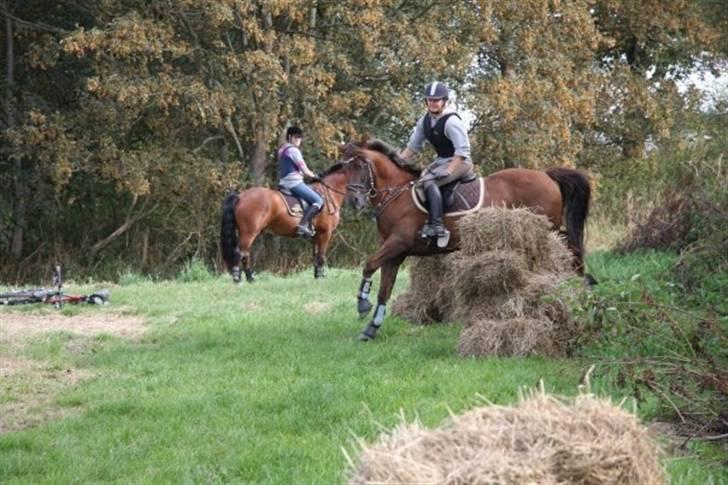 Anden særlig race Tequila - silja rider Undervisning med Eric Smiley da jeg ikke havde tid  billede 13
