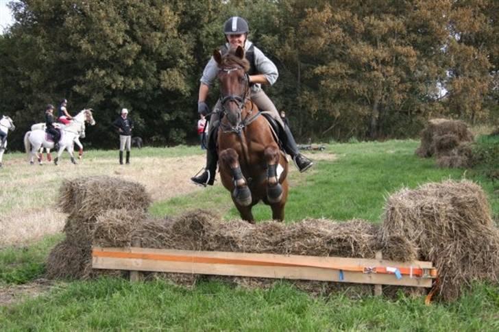Anden særlig race Tequila - silja rider Undervisning med Eric Smiley da jeg ikke havde tid  billede 14