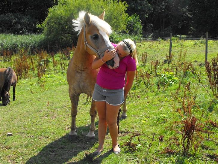 Haflinger Studgårdens Sally<3 *STJERNEN* Savnet :'(<3 - 
I miss you
I miss your smile
And I still shead a tear
Every once in a while
And even though it's different now
You're still here somehow
My heart won't let you go
And I need you to know
I miss you, sha la la la la
I miss you <33<<3 billede 11