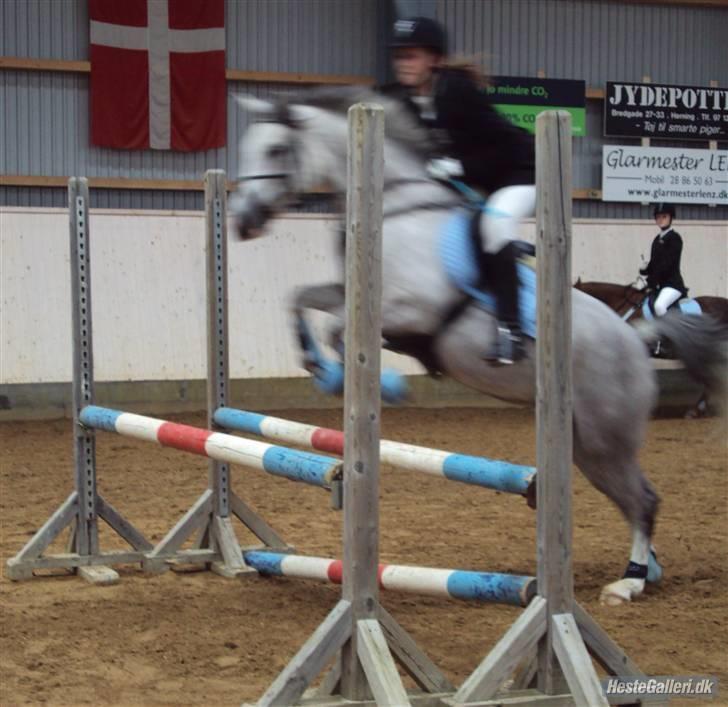 Anden særlig race Chanel * SOLGT * R.I.P :( billede 13